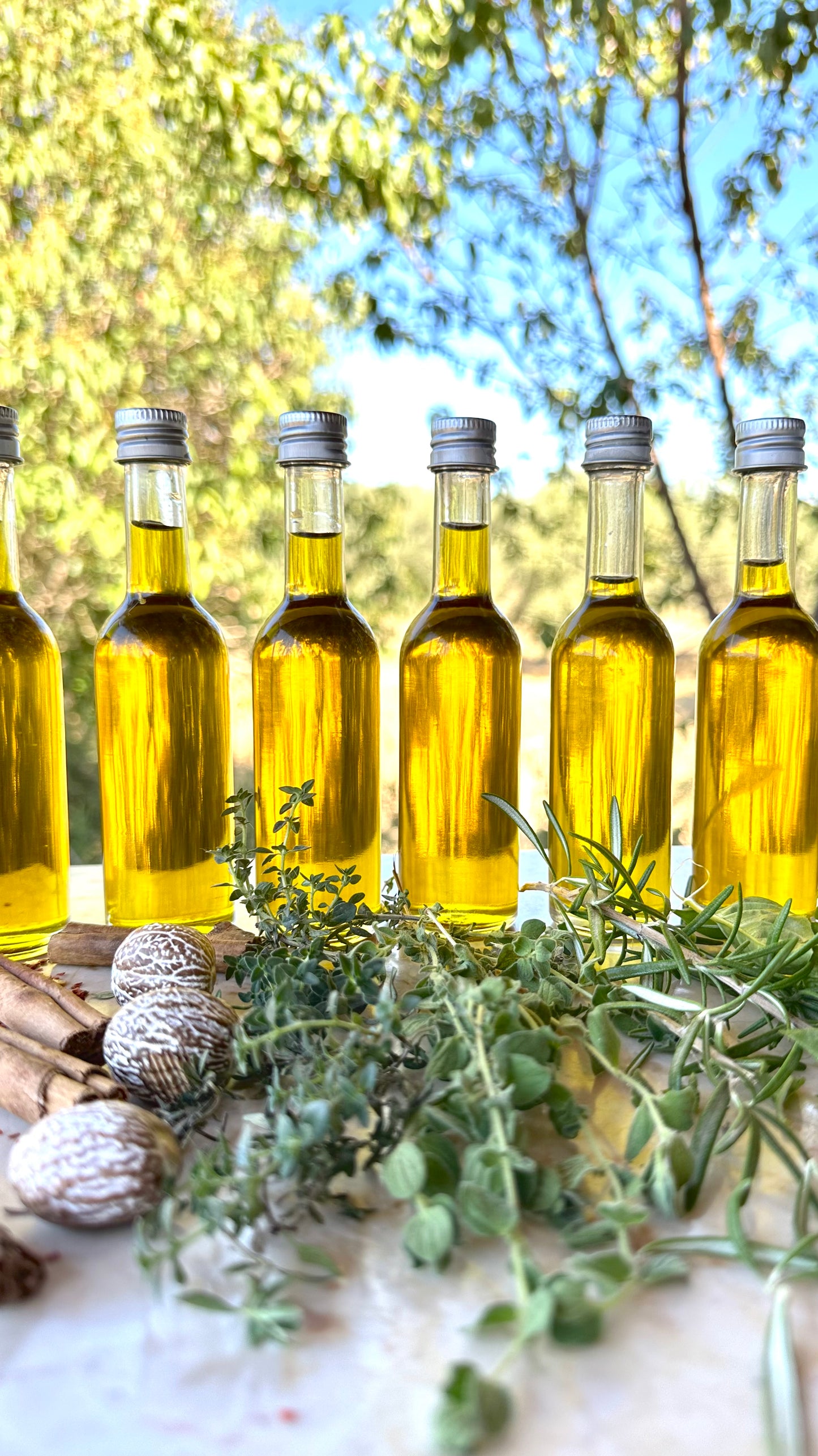 Eat Your Chakras – 7 x 50ml Infused Olive Oil Box Set for Root to Crown Alignment (Vegan-Friendly)