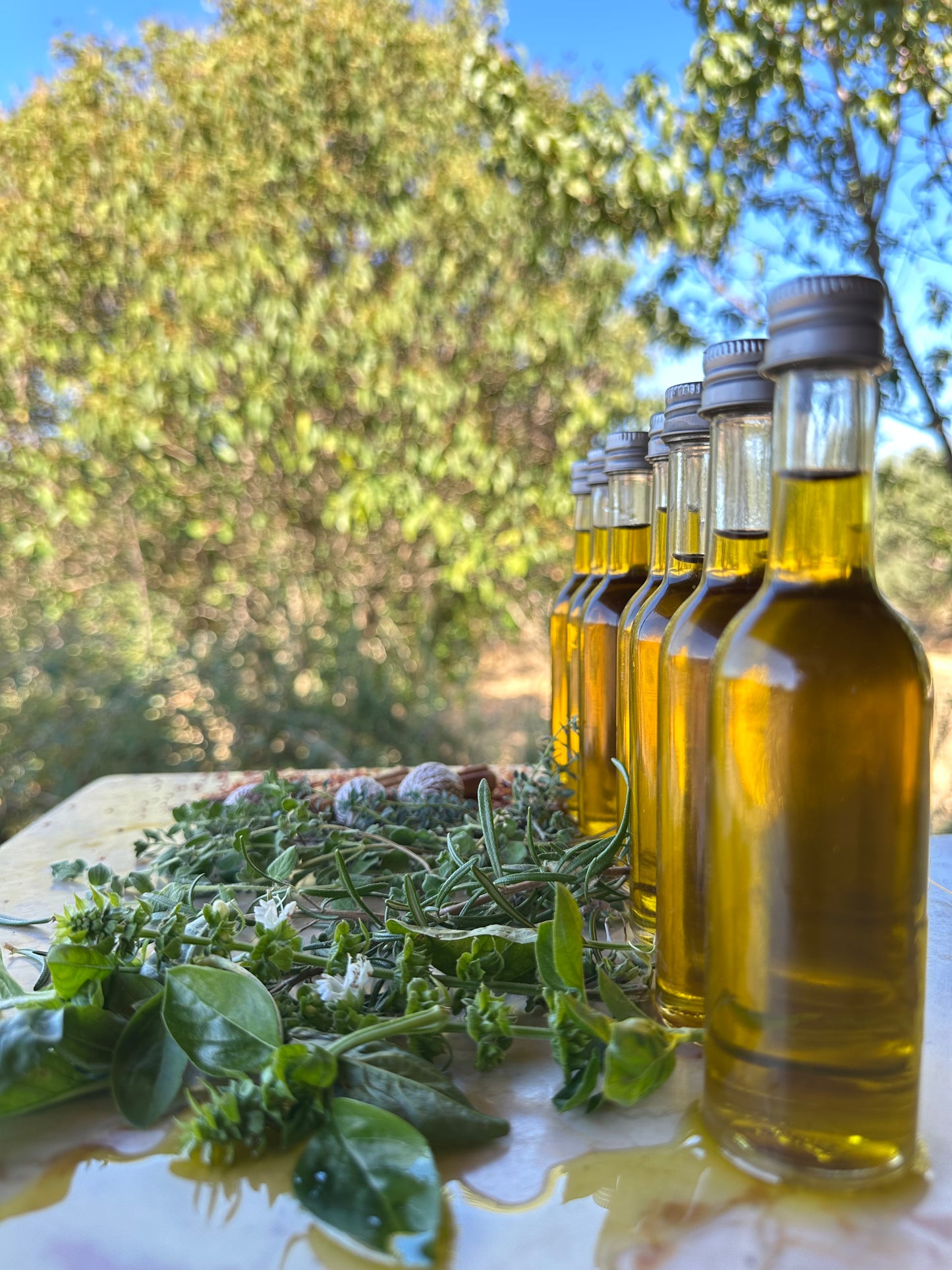 Eat Your Chakras – 7 x 50ml Infused Olive Oil Box Set for Root to Crown Alignment (Vegan-Friendly)